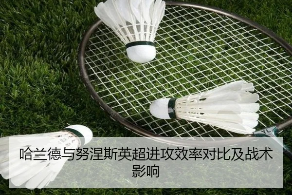 哈兰德与努涅斯英超进攻效率对比及战术影响